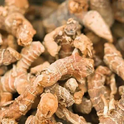 Galangal Powder - غرنجال dried root pieces, used as a warm spice in Sudanese cooking, enhancing traditional dishes.