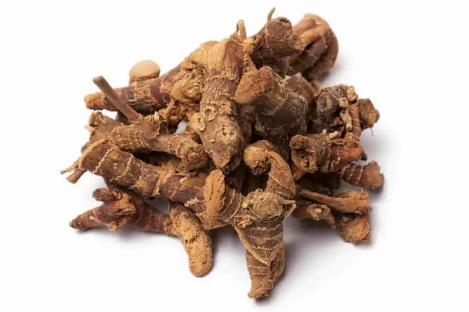 Galangal Powder - غرنجال, aromatic dried roots used in Sudanese cuisine for authentic flavor.